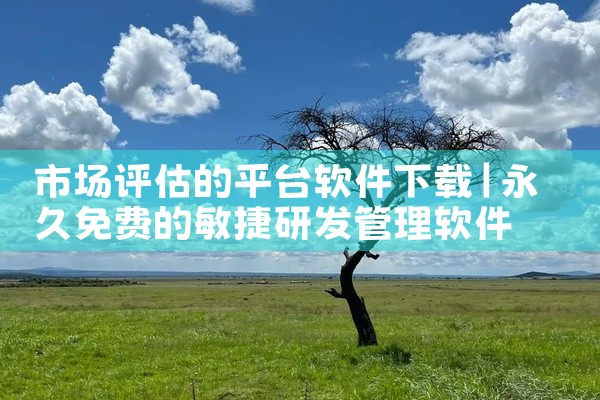 市场评估的平台软件下载