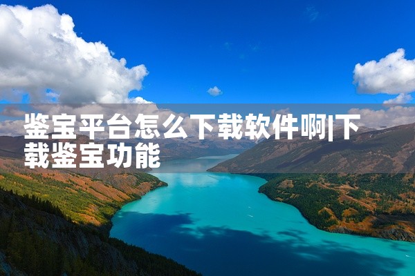 鉴宝平台怎么下载软件啊