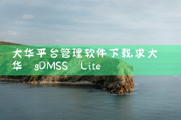 大华平台管理软件下载