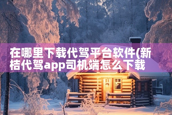 在哪里下载代驾平台软件