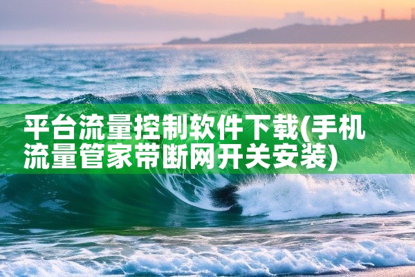 平台流量控制软件下载
