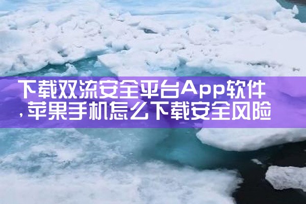 下载双流安全平台App软件