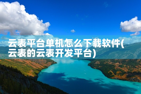 云表平台单机怎么下载软件