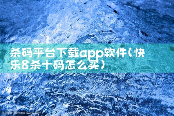 杀码平台下载app软件