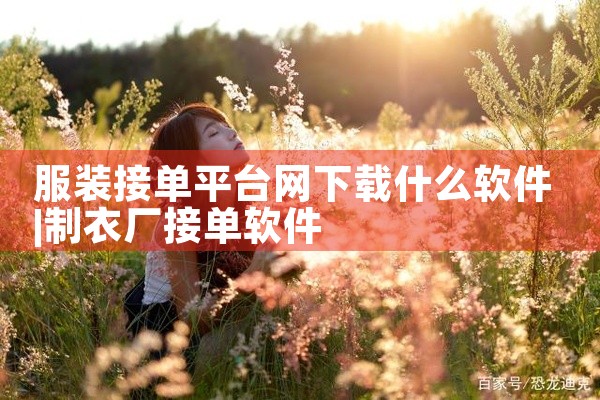 服装接单平台网下载什么软件