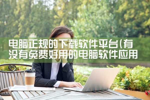 电脑正规的下载软件平台