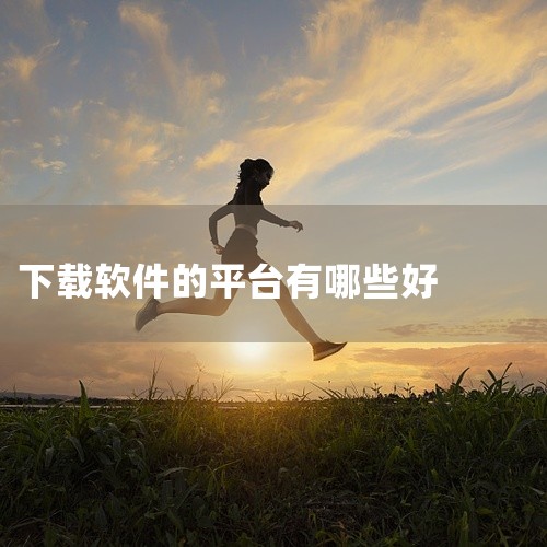 软件下载平台中，Softpedia、FileHippo以及CNET Download等都是不错的选择。这些平台都以其软件资源丰富、...,