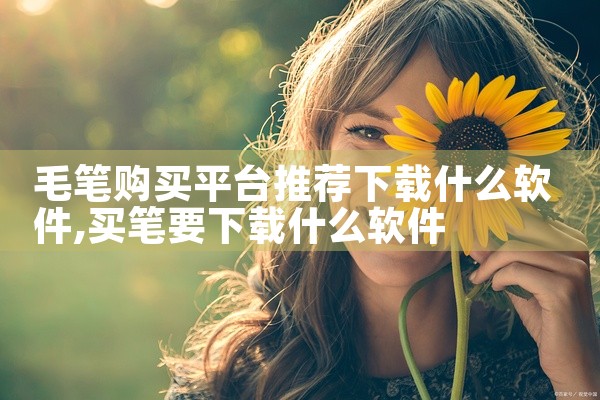 毛笔购买平台推荐下载什么软件